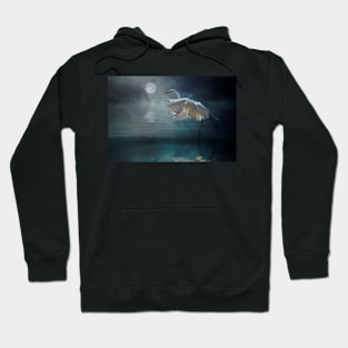 Moonlight Rhapsody Hoodie